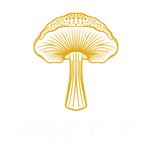 Design Spore