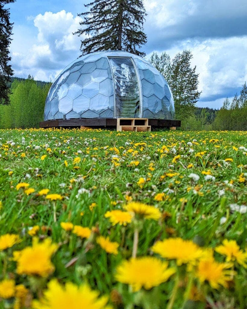 Property and land — potential village site