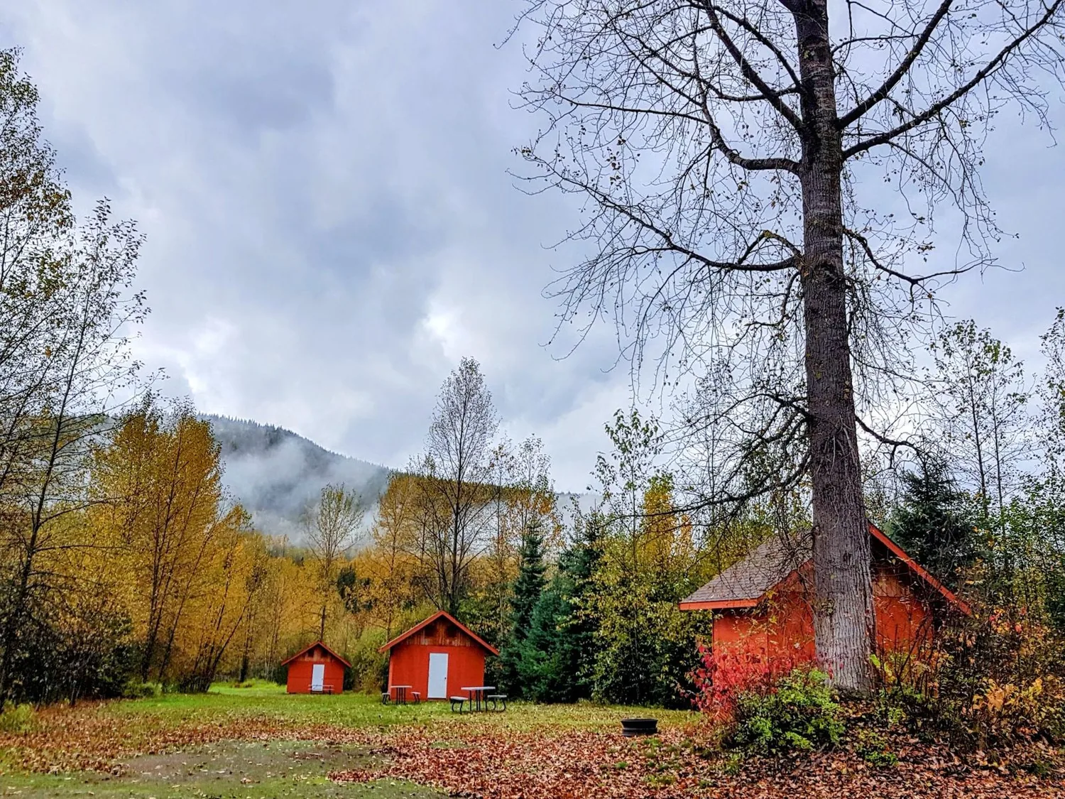 cabins on the land