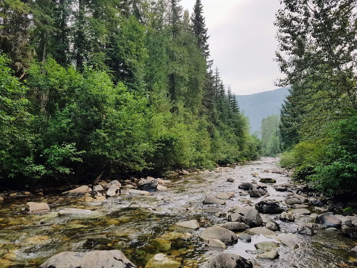 the creek