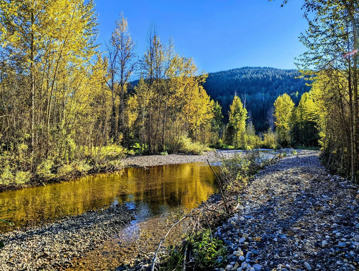 Wells Gray Provincial Park nature